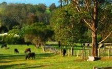 Giba Gunyah Country Cottages - Accommodation Gladstone 0