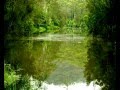 Mangrove Yoga Ashram - - Accommodation Gladstone 0