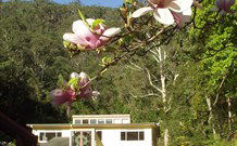 Mangrove Yoga Ashram - - Accommodation Gladstone 2