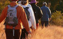 Mangrove Yoga Ashram - - Accommodation Gladstone 3