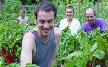 Mangrove Yoga Ashram - - Accommodation Gladstone 8