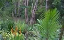 Old Convent River Retreat - Accommodation Gladstone 1