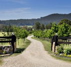 Pemberley Grange Hunter Valley Getaway - Accommodation Gladstone