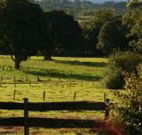Pines on the Plateau - Accommodation Gladstone