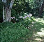Tallawalla Retreat - Accommodation Gladstone