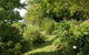 Tallawalla Retreat - thumb 5