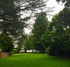Brigalow Cottage - Accommodation Gladstone