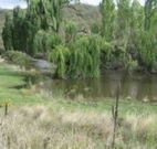 Cedar Grove - Accommodation Gladstone
