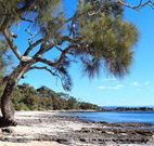 David Jones Cottage - Accommodation Gladstone