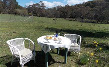 Pinegrove Cottage - Accommodation Gladstone 5