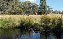Pinegrove Cottage - Accommodation Gladstone 3