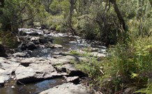 Pinegrove Cottage - Accommodation Gladstone 4