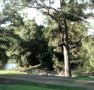 Rustic Caravan Park - Accommodation Gladstone