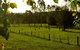 Stone Cottage Mittagong - thumb 0