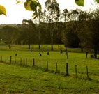 Stone Cottage Mittagong - Accommodation Gladstone