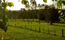 Stone Cottage Mittagong - Accommodation Gladstone 0
