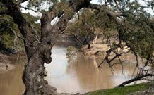 Valley View Cottage Hunter Valley - Accommodation Gladstone 0