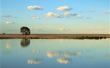Valley View Cottage Hunter Valley - Accommodation Gladstone 4