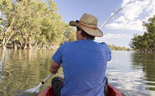 Valley View Cottage Hunter Valley - Accommodation Gladstone 5