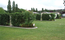 Wheatfield Cottage - Accommodation Gladstone