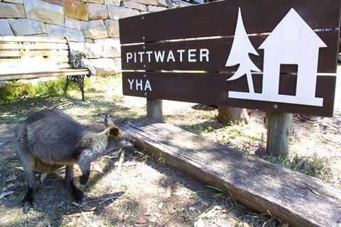 Sydney - Pittwater YHA - Accommodation Gladstone 9