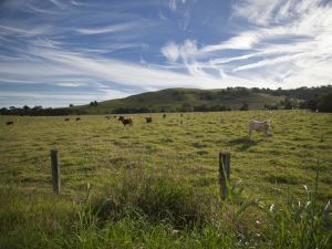 Goolmangar NSW Accommodation Gladstone