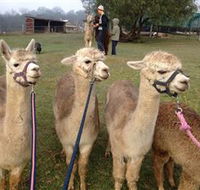Bunyip Springs Farmstay - Accommodation Gladstone