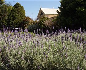 Vacy Hall Toowoomba's Grand Boutique Hotel Since 1873 - Accommodation Gladstone 2