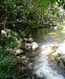 Sweetwater Lodge - Accommodation Gladstone 3
