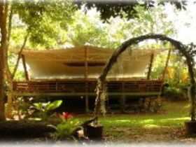 Cedar Park Rainforest Resort - Accommodation Gladstone 2