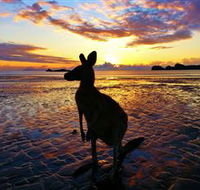 Cape Hillsborough Nature Tourist Park - Accommodation Gladstone