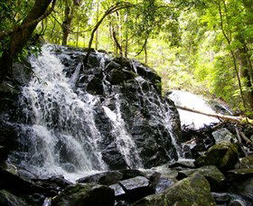 Bellthorpe Stays - Nature's Retreat - Accommodation Gladstone 1