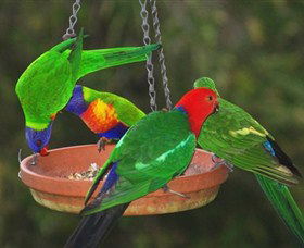 Bellthorpe Stays - Nature's Retreat - Accommodation Gladstone 3