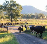 Tommerups Dairy Farmstay - Accommodation Gladstone