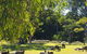Bellmere On Richards - thumb 2