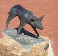 The Ardlethan Kelpie Caravan Park - Accommodation Gladstone
