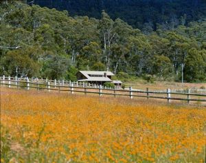 Pender Lea Alpine Guest Accommodation - Accommodation Gladstone 0