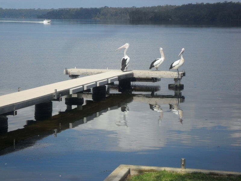 Basin View NSW Accommodation Gladstone