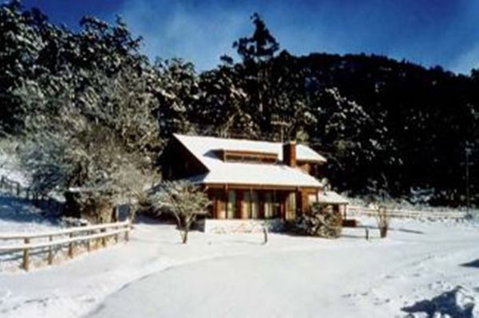 Pender Lea Alpine Guest Accommodation - Accommodation Gladstone 2