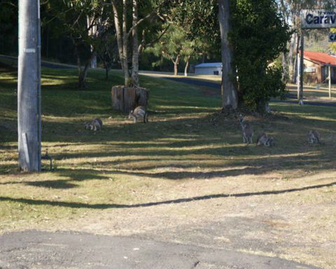 Tyndale Tourist Park & Roadhouse - Accommodation Gladstone 3
