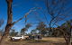 Tilmouth Well Roadhouse - thumb 1