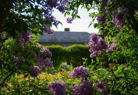 Eurambeen Historic Homestead And Gardens - Accommodation Gladstone 1