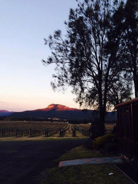 Nightingale Wines Luxury Villas - Accommodation Gladstone 1