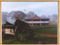 Megalong Valley Farm - Accommodation Gladstone 0