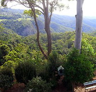 Mt Tamborine Motel - Accommodation Gladstone