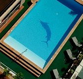 Pacific International Hotel - Accommodation Gladstone