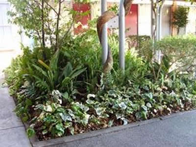 Comfort Inn Manhattan - Accommodation Gladstone 2