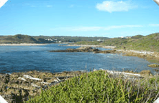 Arthur River Cabin Park - Accommodation Gladstone 5