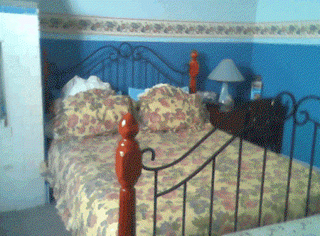 Hamilton Heritage Bed & Breakfast - Accommodation Gladstone 2