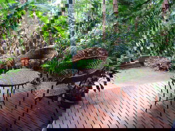 Abbazia Rainforest Studio - Accommodation Gladstone 3